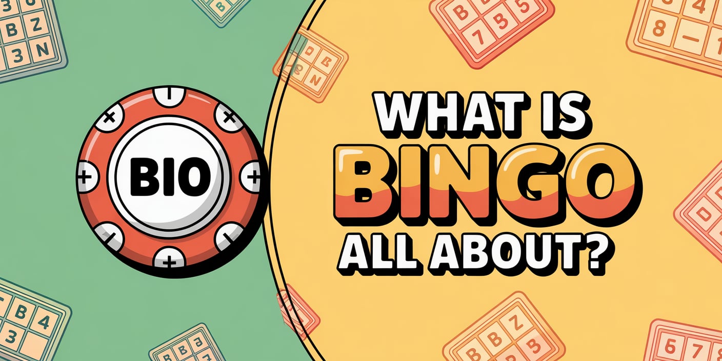 What is Bingo All About?